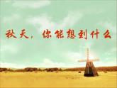 湘艺版小学音乐四下 5.1演唱 土风舞 课件