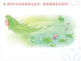 一年级下册音乐课件 第二单元 唱歌 柳树姑娘 人教版  8张