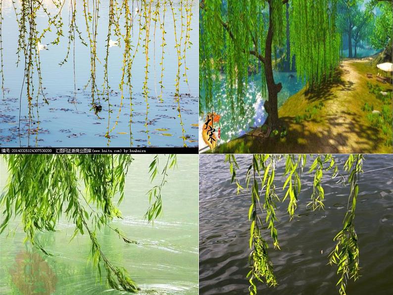 一年级下册音乐课件 第二单元 唱歌 柳树姑娘 人教版  12张05