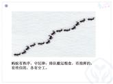 一年級下冊音樂課件 - 第一單元《唱歌　小螞蟻》人教版  14張