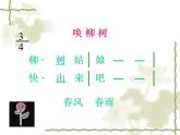 一年级下册音乐课件 第二单元 唱歌 柳树姑娘 人教版   15张