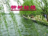 一年级下册音乐课件 第二单元 唱歌 柳树姑娘 人教版   15张