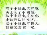 一年級下冊音樂課件 - 第一單元《唱歌　小螞蟻》人教版   23張