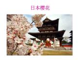 四年級下冊音樂課件  4.3  紅蜻蜓_  人教版  12張