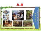 湘藝版小學(xué)音樂五下 7.1在葡萄架下 課件