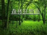 四年級音樂下冊課件  5.1 森林狂想曲  人音版  47張