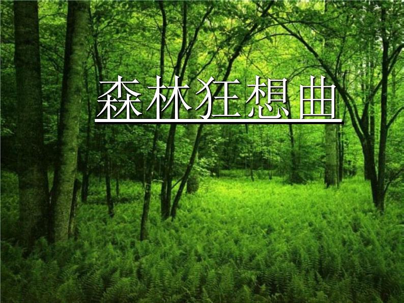 四年级音乐下册课件  5.1 森林狂想曲  人音版  47张01