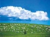 四年级下册音乐课件（简谱） （读谱唱歌）可爱的羊群(2)  湘艺版12张