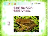 四年級下冊音樂課件 （簡譜） （演唱）花蛤蟆  湘藝版  20張