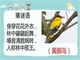 四年级下册音乐课件  （简谱） （演唱）蜗牛与黄鹂鸟(10)  湘艺版 10张
