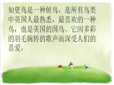 四年级下册音乐课件  （简谱） （演唱）知更鸟的歌   湘艺版   19张