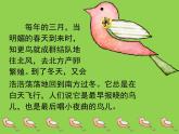 四年级下册音乐课件  （简谱） （演唱）知更鸟的歌   湘艺版   19张