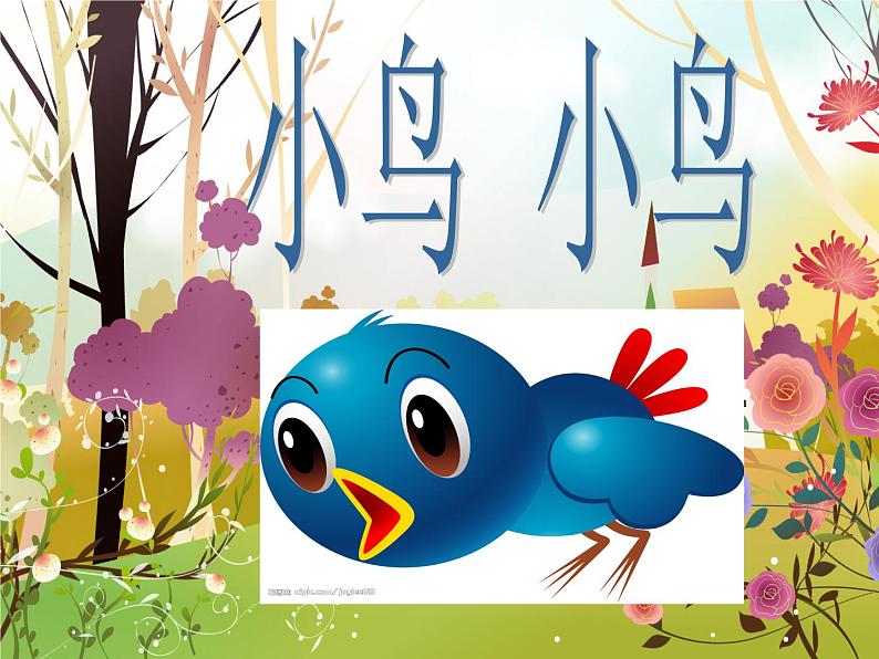 《小鸟_小鸟》课件04