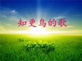 湘艺版小学音乐四下 8.1演唱 知更鸟的歌 课件