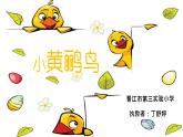 三年級下冊音樂課件   第九課 《小黃鸝鳥》  湘藝版  18張