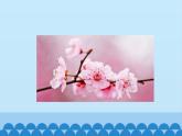 人音版（簡譜）音樂三年級下冊 第7課 在那桃花盛開的地方 課件(共12張PPT)