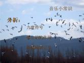 湘艺版 一年级下册音乐 第五课 公鸡、母鸡  大象_ 课件（6ppt）