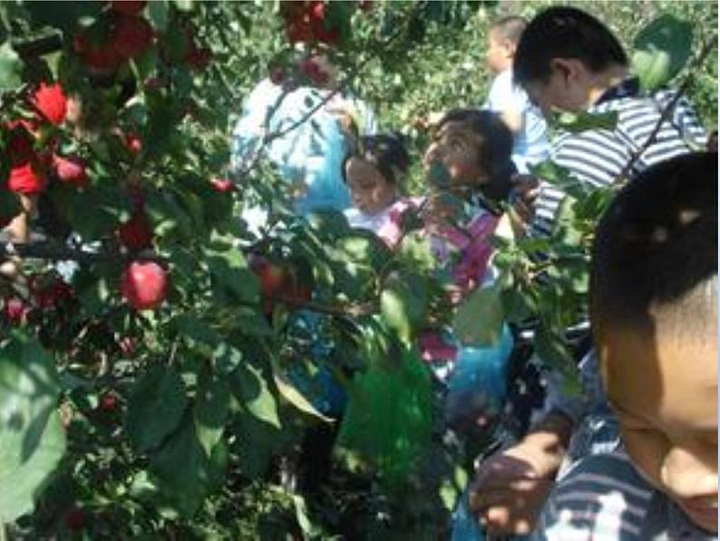 湘艺版音乐三年级下册 第三课 （简谱） （演唱）采山 （课件）（15ppt）第4页