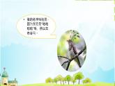 三年级下册音乐课件 顽皮的小杜鹃_  湘艺版  13张