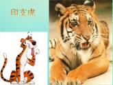 二年級(jí)音樂下冊(cè)第6課獸王老虎磨牙同步課件人音版