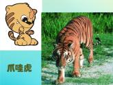 二年級(jí)音樂下冊(cè)第6課獸王老虎磨牙同步課件人音版