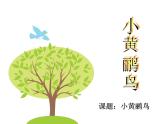 9《小黄鹂鸟》课件湘艺版三年级下册