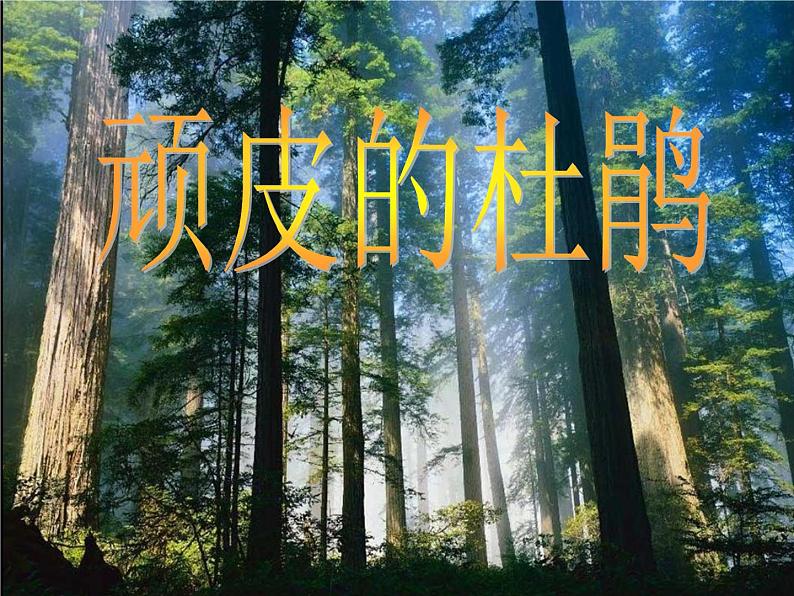 人音版三年级下册3.《顽皮的杜鹃》课件05
