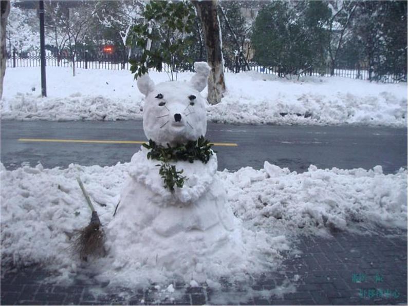 7《雪花带来冬天的梦》课件人音版五年级上册03