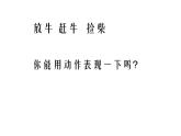 三年级上册音乐课件放牛山歌--(4)人音版(简谱)(2014秋)
