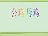 二年級(jí)上冊(cè)音樂(lè)課件公雞-母雞-3人音版(簡(jiǎn)譜)(2014秋)