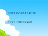 二年級(jí)上冊(cè)音樂(lè)課件公雞-母雞-3人音版(簡(jiǎn)譜)(2014秋)