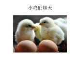 二年級上冊音樂課件第4課聆聽《我的小雞》人音版(簡譜)(2014秋)-(共7張PPT)