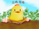二年級(jí)上冊(cè)音樂(lè)課件公雞-母雞-1人音版(簡(jiǎn)譜)(2014秋)