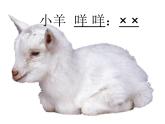 二年級(jí)上冊(cè)音樂(lè)課件公雞-母雞-1人音版(簡(jiǎn)譜)(2014秋)