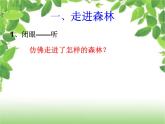 二年级上册音乐课件森林水车--(1)人音版(简谱)(2014秋)