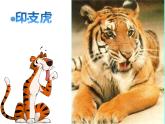 二年級(jí)下冊(cè)音樂課件《老虎磨牙》3-人音版(簡(jiǎn)譜)-(共10張PPT)