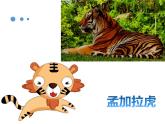 二年級(jí)下冊(cè)音樂課件《老虎磨牙》3-人音版(簡(jiǎn)譜)-(共10張PPT)
