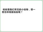 苏少版音乐一上 歌表演《小蚂蚁》课件+素材