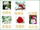 《打花巴掌》课件