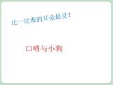 《口哨与小狗》课件