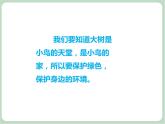 《大树妈妈》课件