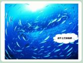 《水族馆》课件