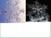 《小雪花》课件
