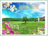 苏少版音乐三上 《顽皮的小杜鹃》课件