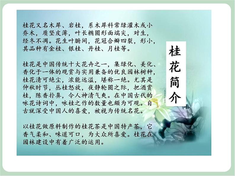 苏少版音乐三上 《八月桂花遍地开》课件03