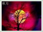 苏少版音乐三上 《综合表演（夸秋天）》课件