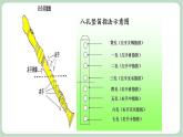 苏少版音乐六年级上册 《竖笛练习（三）》课件