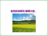 苏少版音乐六年级上册 《森吉德玛 管弦乐》课件