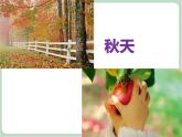 苏少版音乐六年级上册 《四季童趣》课件