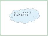 苏少版音乐五上 《赤足走在田埂上》课件